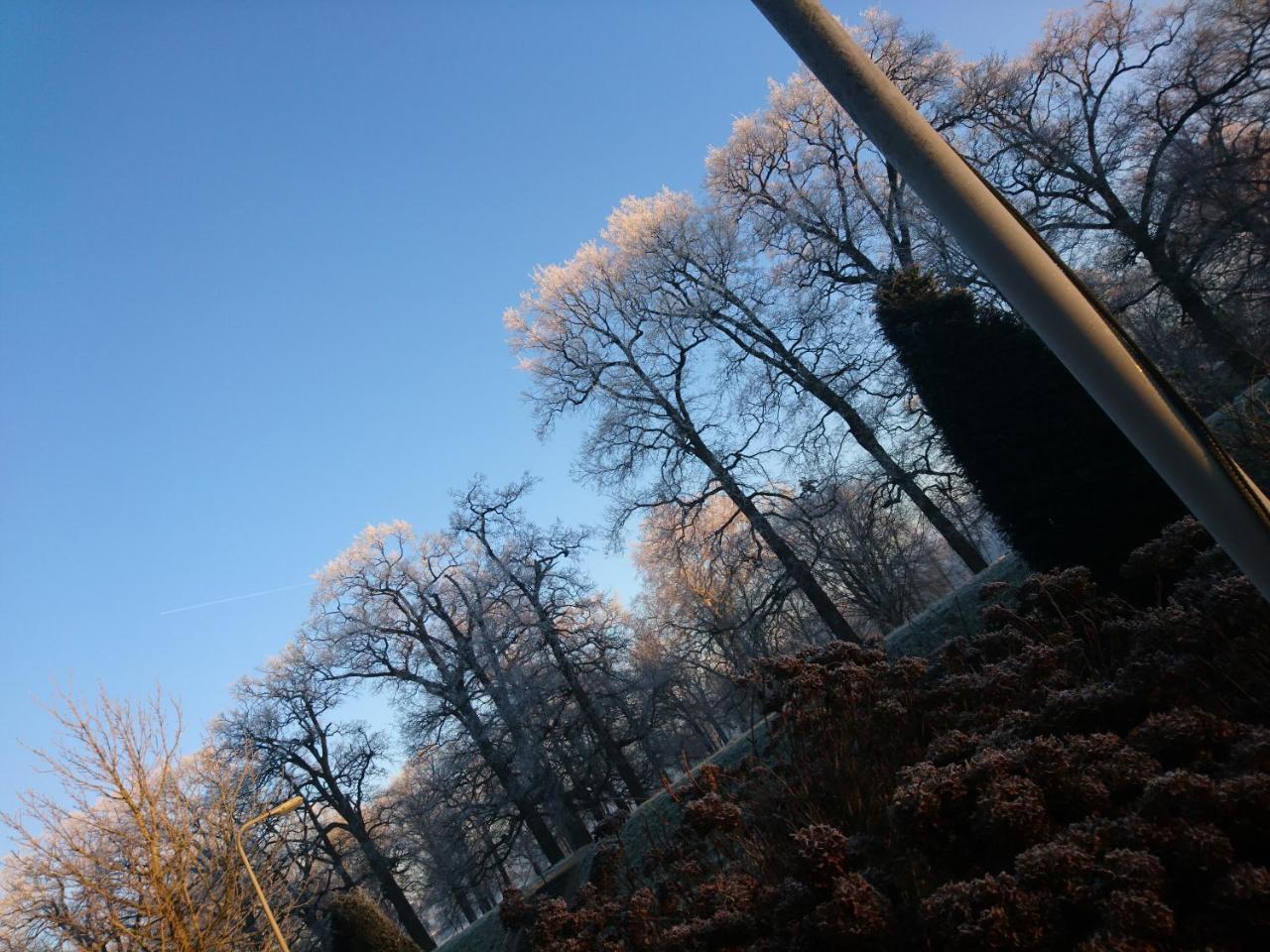 Deventer Heritage En Boutique B&B Museumhuis Huize "De Worp" 외부 사진